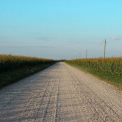 long term vs short term capital gains