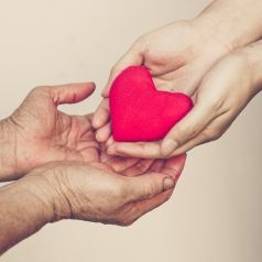 529 vs life insurance