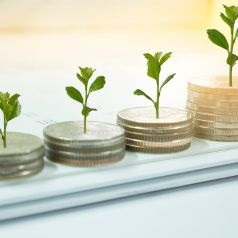 DAF Giving Tutorial from Fidelity [With Screenshots] | White Coat Investor