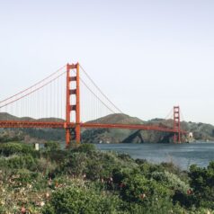 moving to california