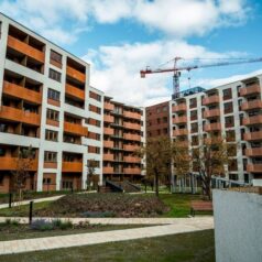 investing with DLP