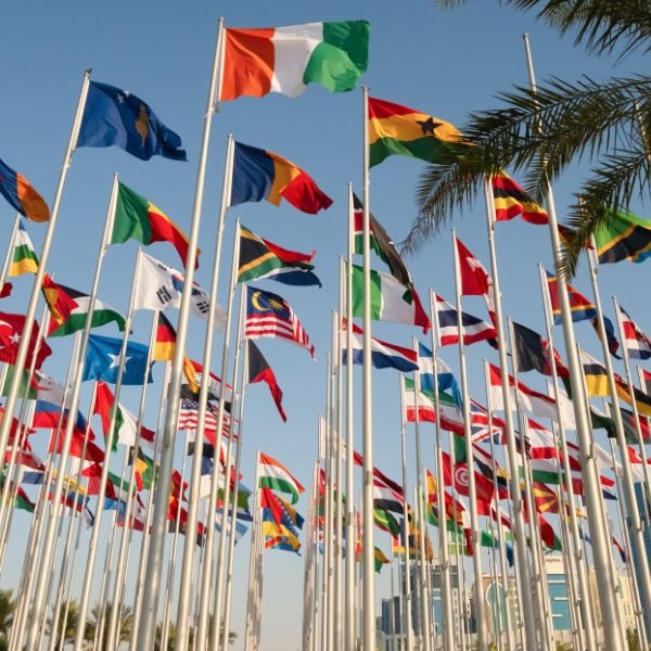 Across Borders: The White Coat Investor for the International Medical Graduate