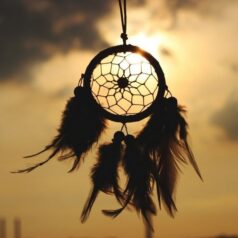 price of a dream